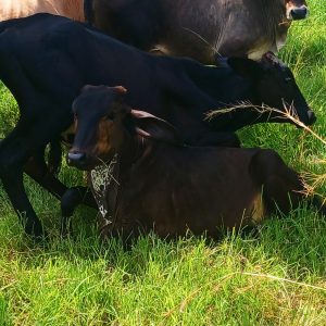 CYMERA_20260406_143519-1