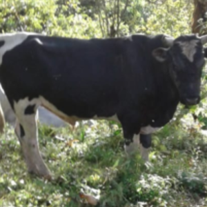 Captura-de-Pantalla-2020-07-07-a-las-9.13.12-p.-m.