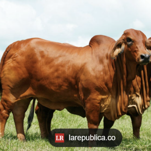 Captura-de-pantalla-2025-02-15-082902