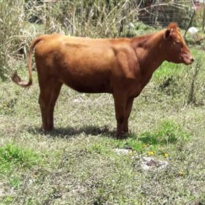 D00DFFB0-4FB4-4D04-B686-9699018CEB3F