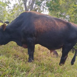 D054B5BF-89C9-451D-9C27-B94C106519B4