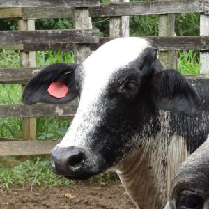 E6474442-4E7A-43CC-B435-331BCE09D554