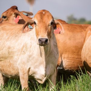 E9CF6F36-16D7-4FF8-9516-C0A8D26C7988