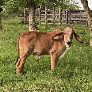 EB5712F2-C540-445A-85AB-99C863A80EFC