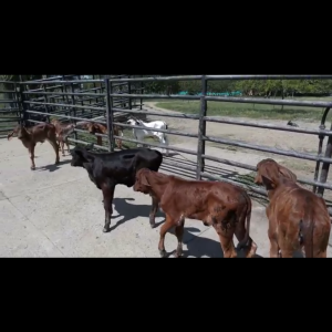 F68B0329-1FB1-4065-8DB1-6819B708B732