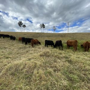 F7403437-8EA3-4B51-AEC7-21BEDC385FD5