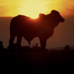 F7FC0D6B-53BD-4542-B488-7629BF599C05