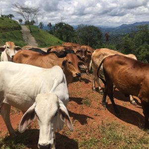 F81A9AF0-E086-42BB-978D-6D58F737F34E