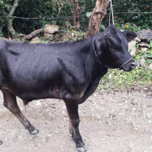 IMG-20210531-WA0048-1