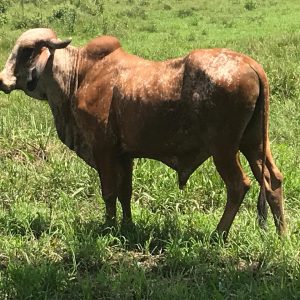 IMG-20210601-WA0023-1