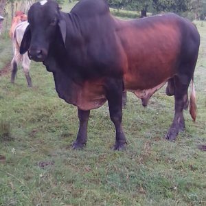 IMG-20211008-WA0003-1