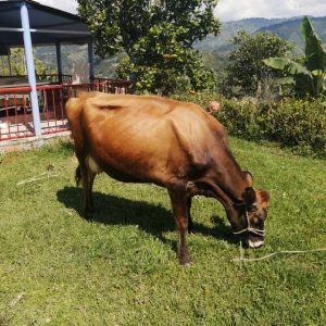 IMG-20220211-WA0000-1