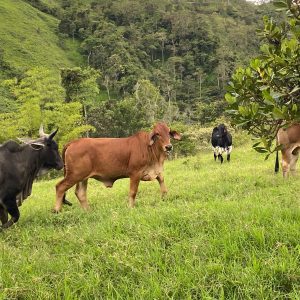 IMG-20220528-WA0035-1