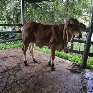 IMG-20220810-WA0020-2