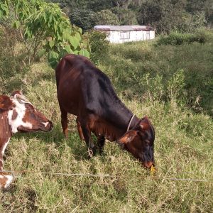 IMG-20260223-WA0015-2