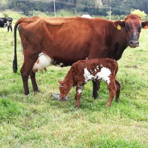 IMG_20191117_132422-1