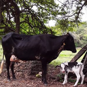 IMG_20200406_145347_642