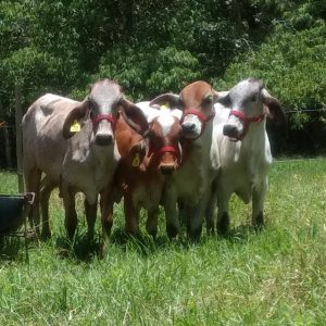 IMG_20200921_113859144