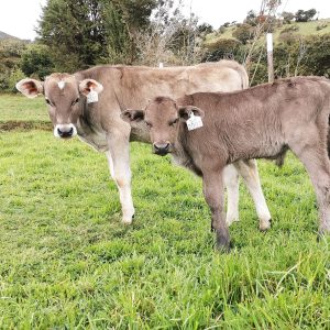 IMG_20201015_115154_816