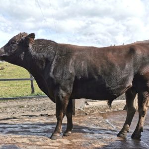 IMG_20201022_143120-1