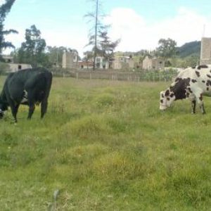 IMG_20201123_205744_073