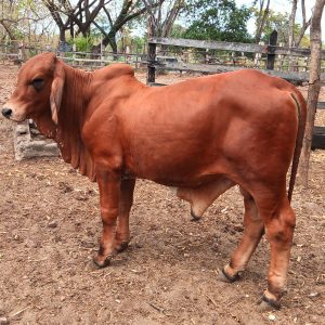 IMG_20210214_115739_497