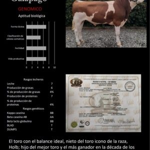 IMG_20210320_183310_629-4