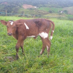 IMG_20210406_064523806