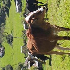 IMG_20210426_140335252