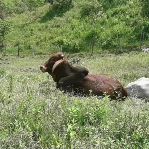 IMG_20211030_223806_575