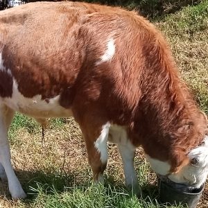 IMG_20211110_084035_0-1