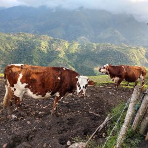 IMG_20211121_163417941_HDR