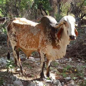 IMG_20220917_0837312-1