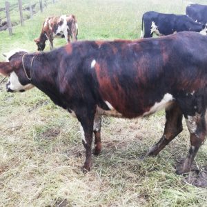 IMG_20221022_113210-2