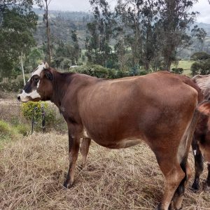 IMG_20230314_164942-1