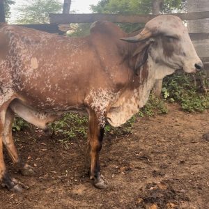 PHOTO-2024-07-18-09-35-56