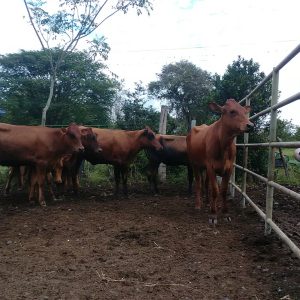 P_20211217_102525-copia