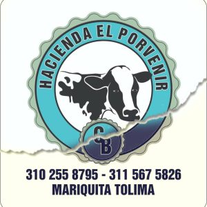 PicsArt_02-08-01.51.12