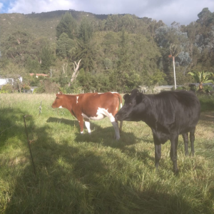 Screenshot_20210521-125401-875