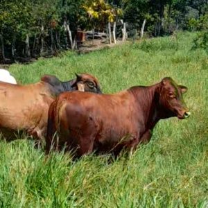 Screenshot_20220112-184900_Gallery-1