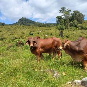 Screenshot_20230517_105003_WhatsApp