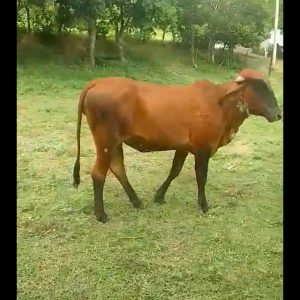 Screenshot_20230820-112429_WhatsApp