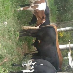 Screenshot_20230914-122404_Video-Player