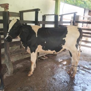 Screenshot_20230920-143129_WhatsApp