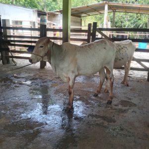 Screenshot_20230920-151033_Gallery