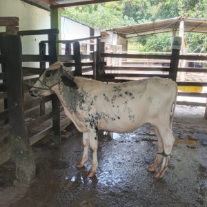 Screenshot_20230920-153734_Gallery