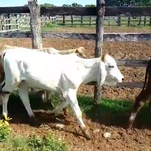 Screenshot_20231120_201607_Gallery