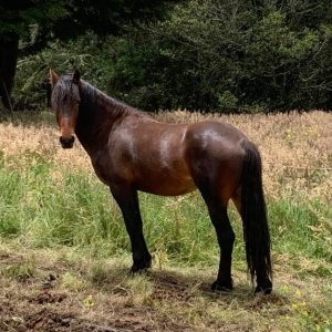 WhatsApp-Image-2020-08-02-at-7.43.04-PM-1