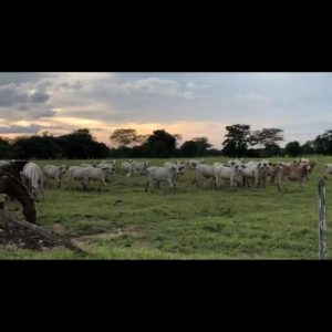 WhatsApp-Image-2020-08-19-at-10.10.17