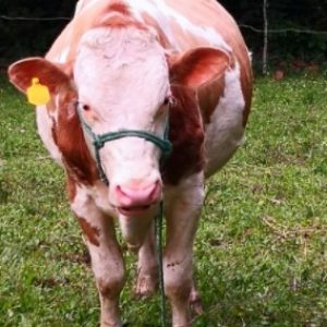 WhatsApp-Image-2021-02-05-at-11.50.47-AM-1